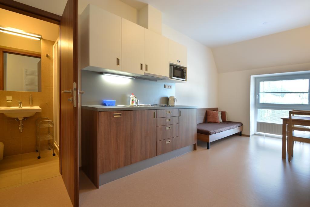 Apartmany Rokytka Snowhouse Rokytnice nad Jizerou Dış mekan fotoğraf